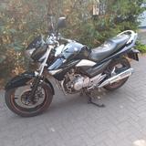 Suzuki Inazuma GW 250 Top Zustand - Offers matching your search criteria