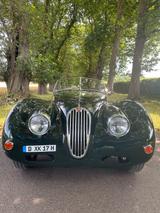 Jaguar XK 140 OTS - Jaguar XK: Cabrio, 140