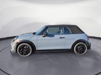 MINI Cooper S Cabrio - Vorschau Bild 4
