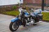 Harley-Davidson Springer - Offers