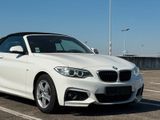 BMW Cabrio 218 i M Sport Paket Leder Navi LED - : Cabrio