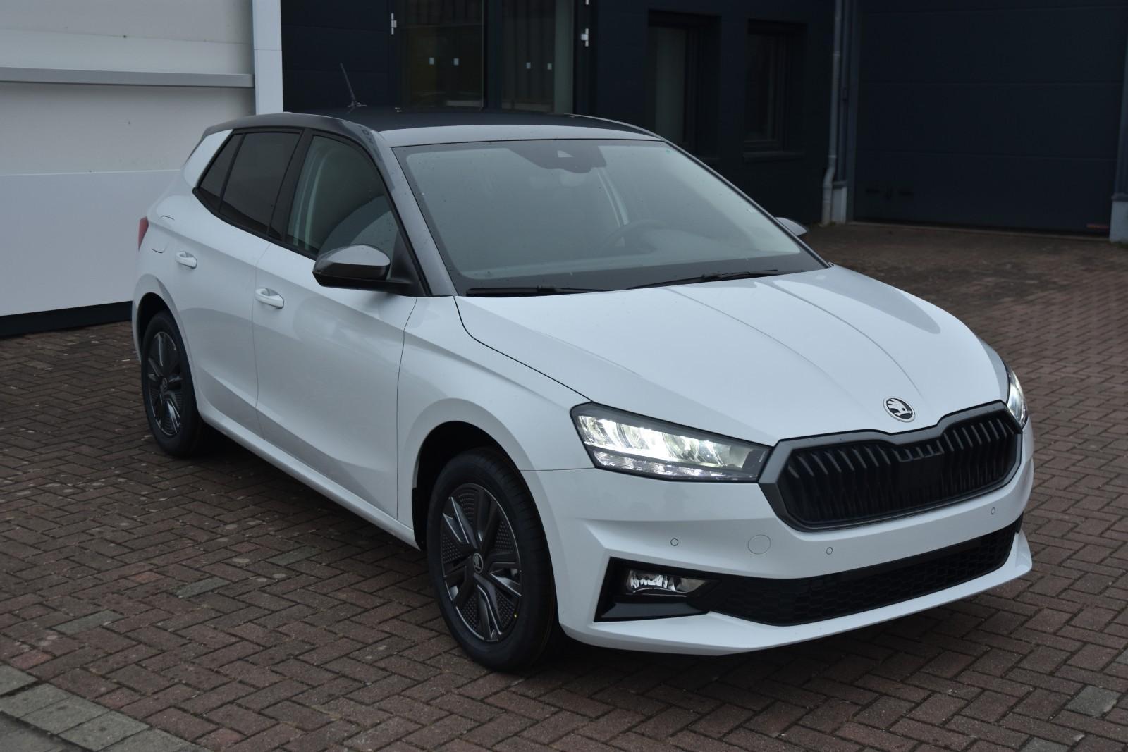 Skoda Fabia 1.0 TSI Sel.*LED*Licht+Sicht*Winter+*Cam