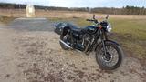 Kawasaki W800 Black Edition - KAWASAKI BENZIN MOTORRAD W800