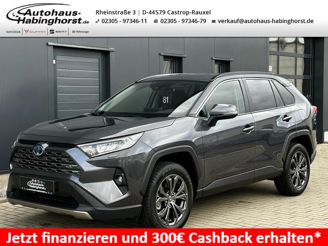 Toyota RAV 4 2.5 Hybrid CVT 4x4 Active Navi LED PDC e.H