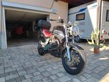 Moto Guzzi Breva 1100 - Offers