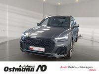 Audi SQ5 - Vorschau Bild 1