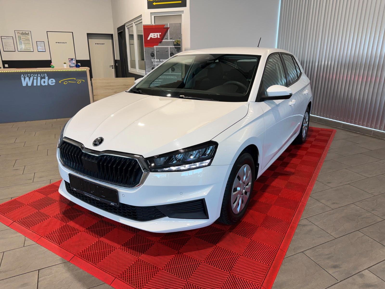 Skoda Fabia LED Tempomat PDC CarPlay