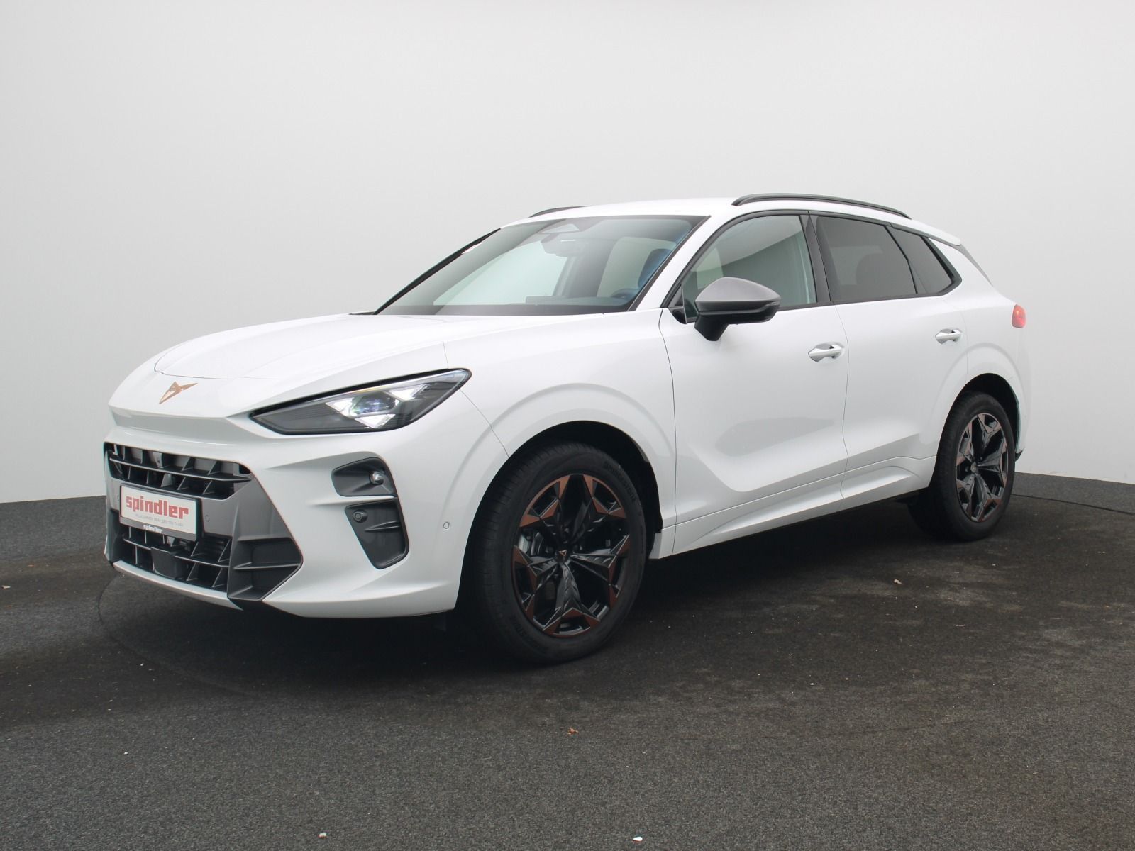 Cupra Terramar - Bild 2