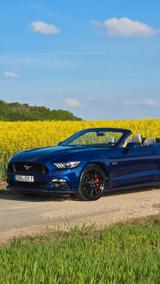 Ford Mustang 5.0 Ti-VCT V8 GT Premium  - Ford Mustang: Cabrio