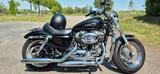 Harley-Davidson Sportster Custom XL 1200 Top Zustand!! - Angebote
