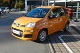 Fiat Panda Urban 1.0 Klima DAB Radio - Fiat Panda in Chemnitz