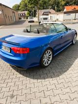 Audi RS5 4.2 FSI S tronic quattro Cabriolet - - Audi RS5: Cabrio