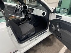 Fahrzeugabbildung Volkswagen Beetle Cabriolet 1,2 TSI Cup
