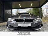BMW 428i Coupe AUTOMATIK XENON NAVI SHZ KAMERA BTORI - BMW 428: Coupe