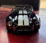 Cobra Andere - Cobra