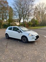 Fiat Punto 1.4 8V Start&Stopp YOUNG II YOUNG II - Fiat Punto: Start