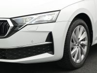 Skoda Octavia - Vorschau Bild 22