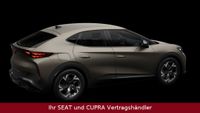 Cupra Tavascan - Vorschau Bild 3