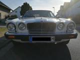 Jaguar sehr schöner XJ12 - Jaguar: 12