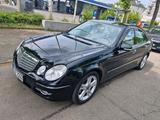 Mercedes-Benz Mercedes Benz E230 Avangart 7G - Mercedes-Benz E 230 Gebrauchtwagen