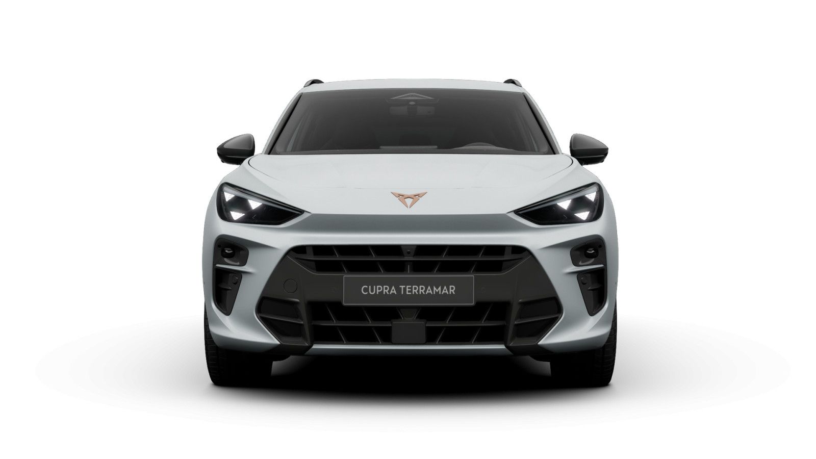Cupra Terramar - Bild 3