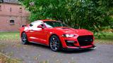 Ford Mustang 2.3  Shelby gt 500 1. Jahr Garantie - Ford Mustang: Coupe, Shelby