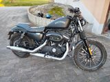 Harley-Davidson Sportster Iron XL 883 N - HARLEY-DAVIDSON SPORTSTER XL 883 N IRON