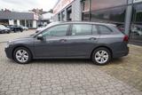 Volkswagen Golf VIII Variant 1.5 eTSI DSG Life LED Navi ACC - Volkswagen Golf: Vii