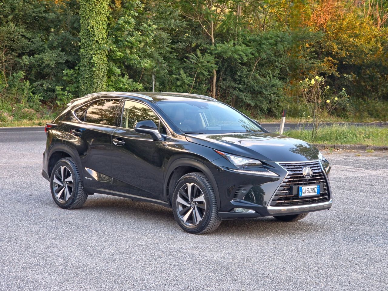 LEXUS ANDERE