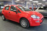 Fiat Punto 1.2 8V - Fiat Punto: 1.2