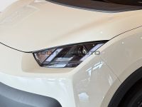 BYD Dolphin Surf Boost 43kWh KAMERA CARPLAY NAVI ALU - Image