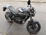Suzuki SV 650 X - SUZUKI SV650X