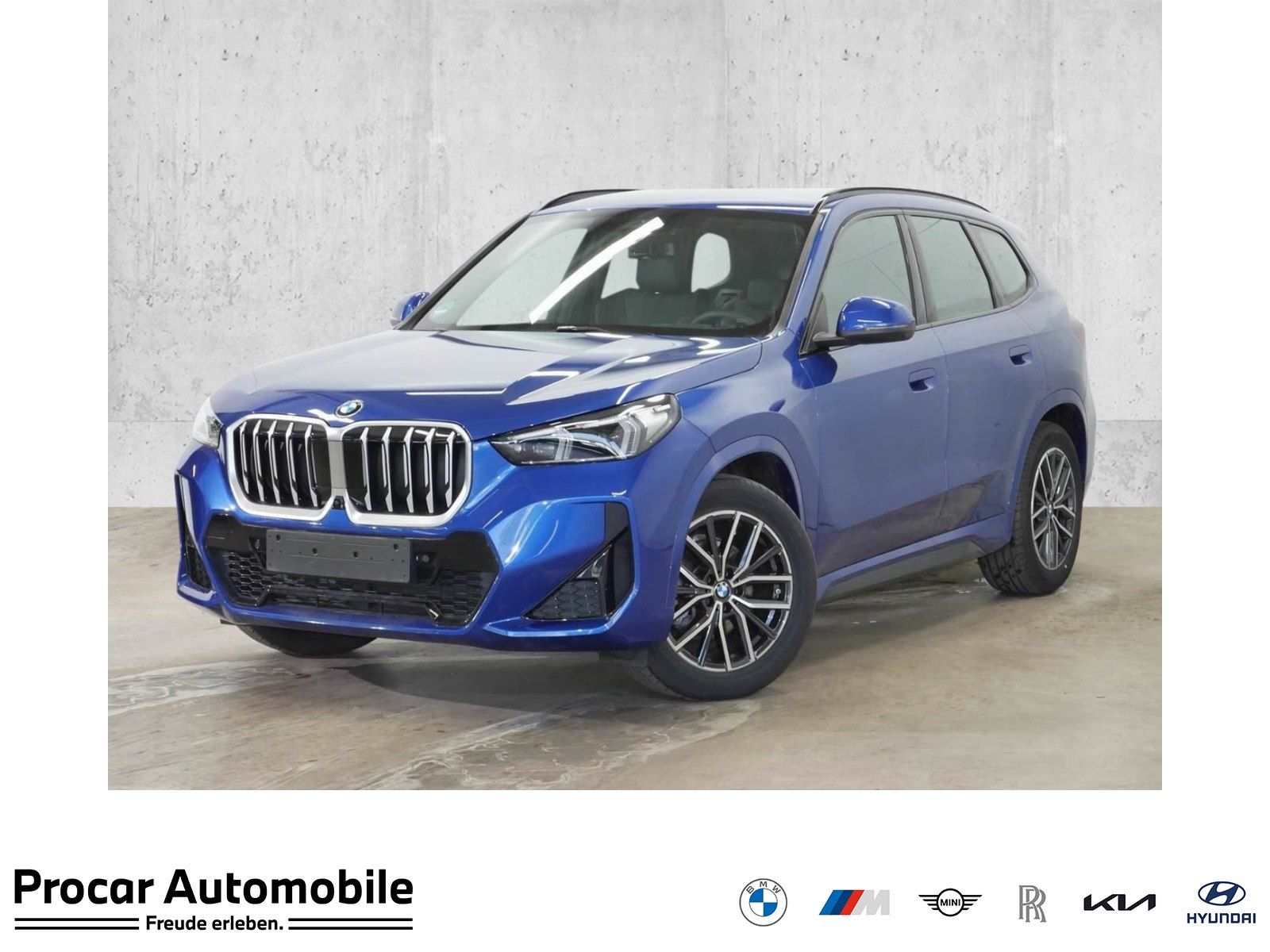 BMW X1 sDrive20d M Sport HUD ACC AHK RFK NAVI LED
