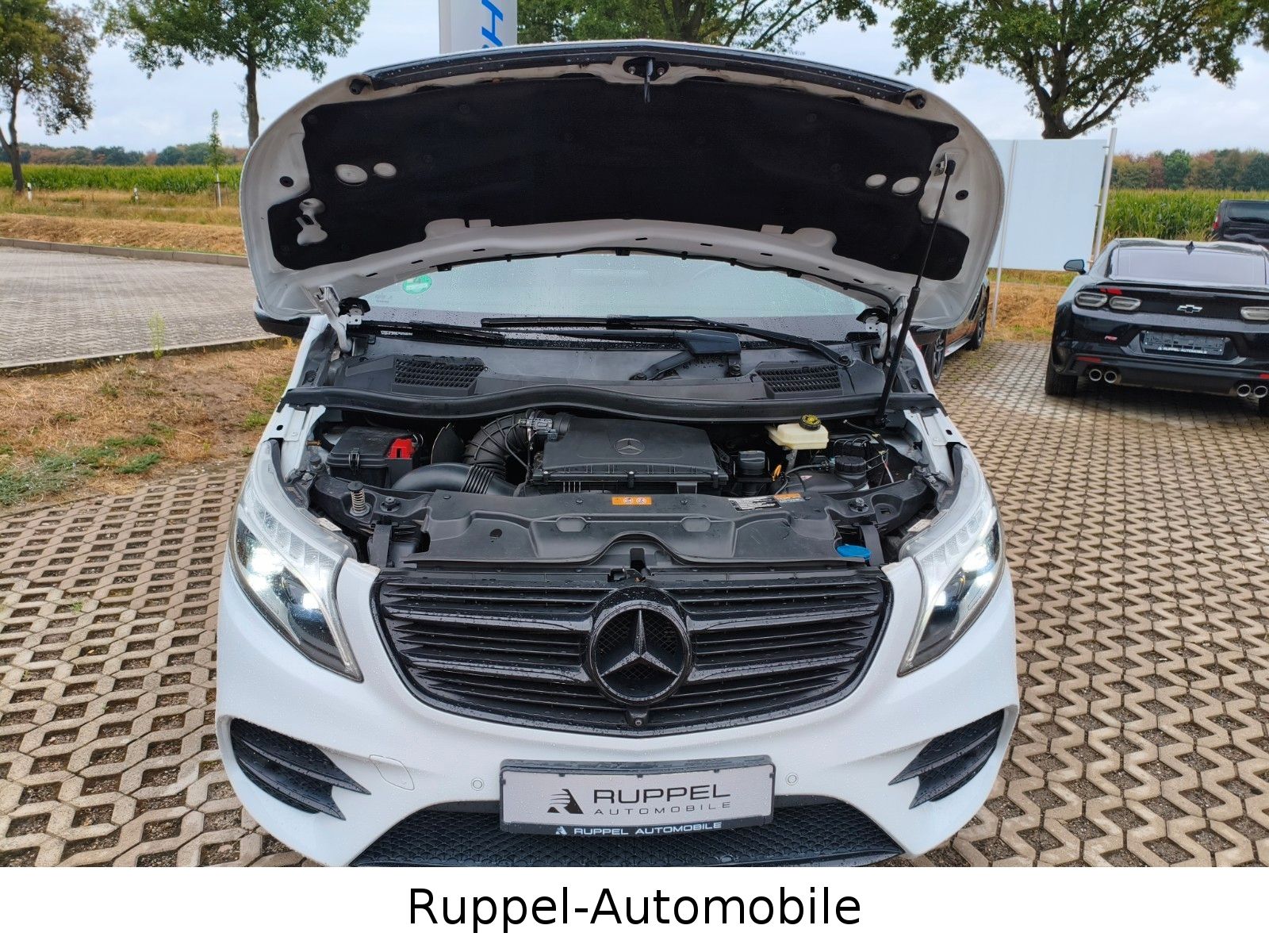 Mercedes-Benz V 250CDI AMG-LINE AVANTGARDE EDITION lang 1.HAND foto 15