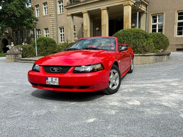 Angebot ansehen Ford Mustang