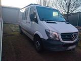 Mercedes-Benz Sprinter 906 314 Offroad - : Van, Offroad