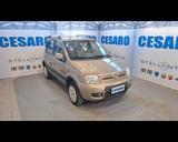 Fiat FIAT Panda 1.2 Climbing 4x4 - Fiat Panda Climbing mit Benzin-Antrieb
