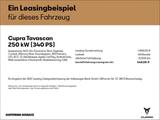 Cupra Tavascan VZ 4D 340 PS 77KWH - Cupra Tavascan mit Schiebedach