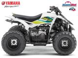 Yamaha 50 Raptor / Kinder Quad - QUAD VON 1 BIS 50 CCM