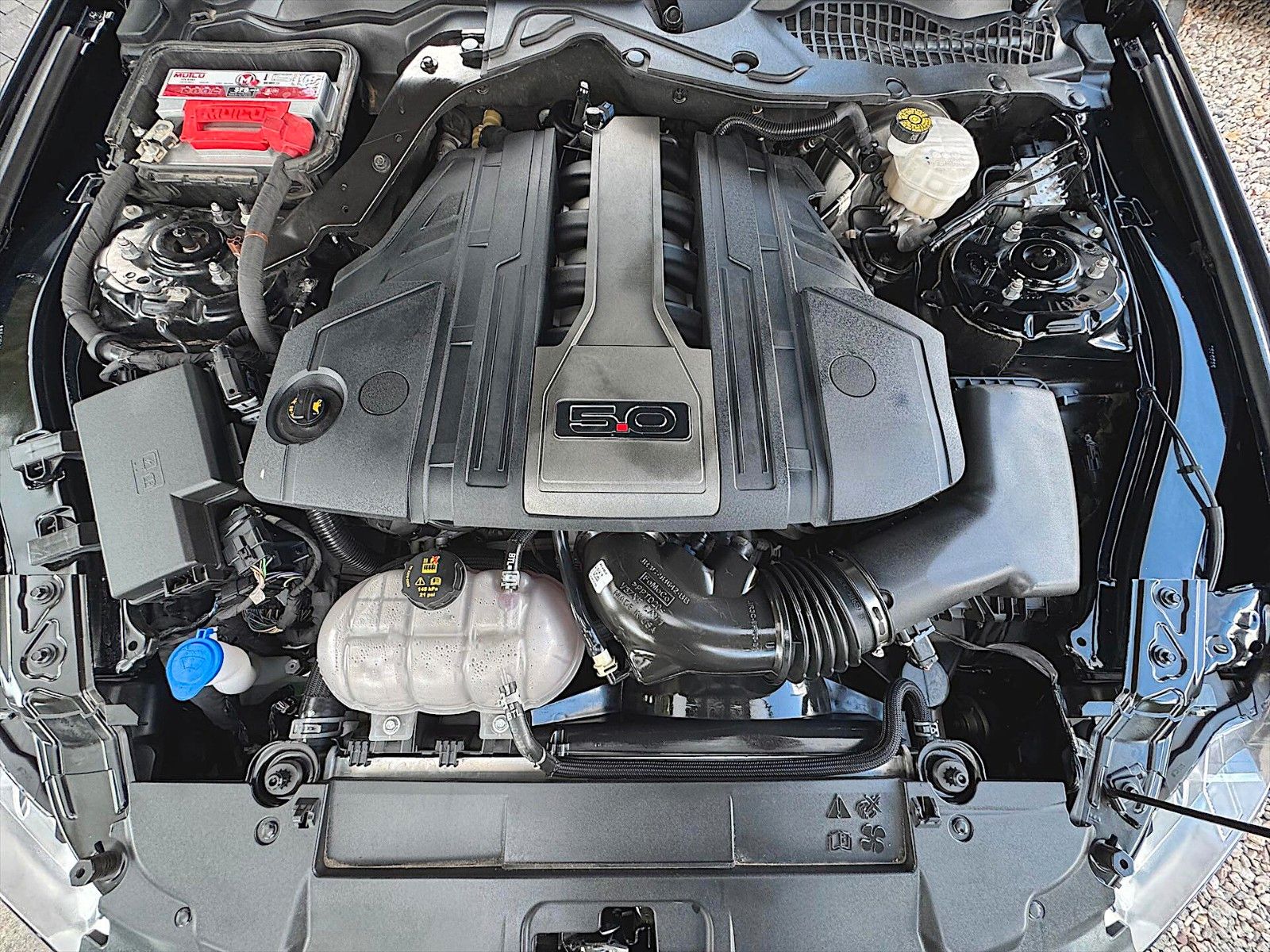 Fahrzeugabbildung Ford Mustang Shelby GT 5.0 V8 Performance Premium