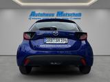 Mazda 2 Hybrid Prime-Line 1.5 ACC Apple CarPlay Androi - blaue Mazda 2 Hybrid