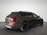 Skoda Octavia Combi 2.0 TDI Scout 4x4 /AHK/LED/ - Skoda: Combi Scout