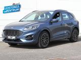 Ford Kuga 1.5 EB ST-Line Navi Kamera 19" LM