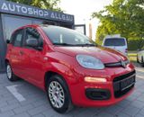 Fiat Panda Easy - Fiat Panda aus 2019