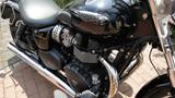 Triumph Speedmaster 986ML2 Tüv neu Sonderlackierung - Angebote entsprechen deinen Suchkriterien