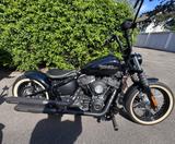 Harley-Davidson Street Bob  - Harley-Davidson Motorräder in Duisburg