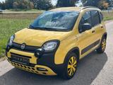 Fiat Panda Waze DAB, PDC, KD NEU, 1.Hand! - Fiat Panda Waze mit Benzin-Antrieb