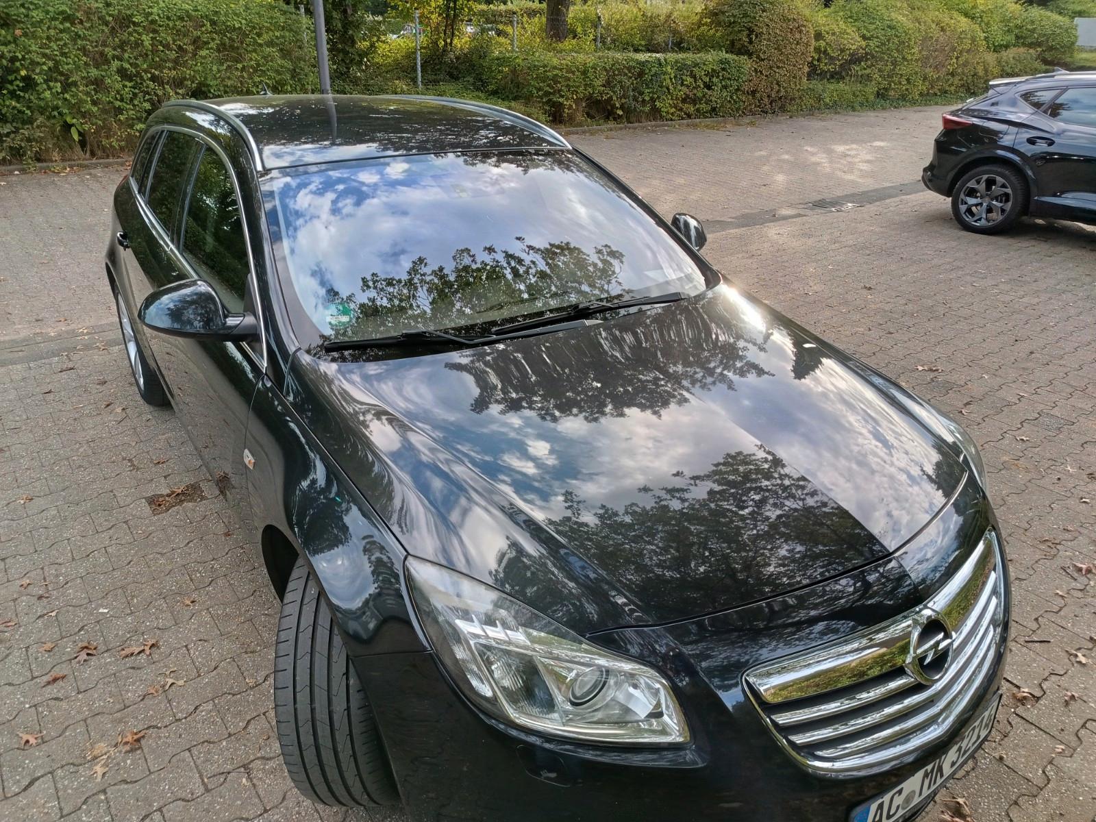 Opel Insignia 2010 — rear view