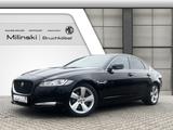 Jaguar XF Prestige 20d *Unfallfrei* - Jaguar XF: Prestige