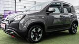 Fiat Panda Base CROSS - Fiat Gebrauchtwagen in Wiesbaden